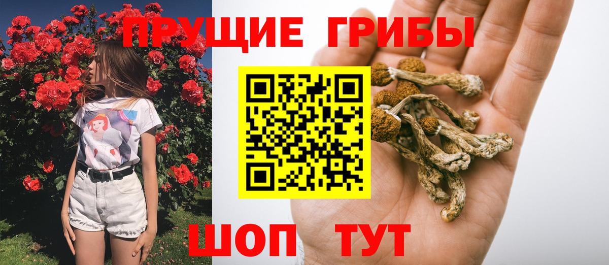 Трёхгорный  Галлюциногенные грибы прущие грибы  Вход с VPN  Галлюциногенные грибы ЛСД 